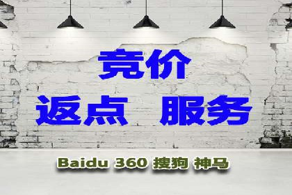 SEM代理实战：成功案例分享与经验总结